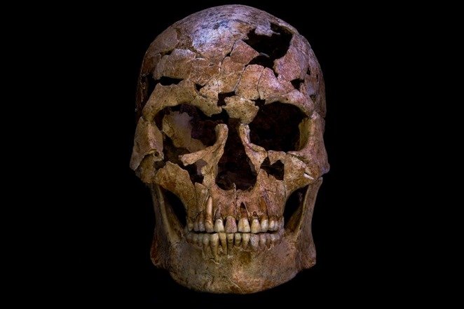 12000 year old skeleton excavated in Vietnam reveals