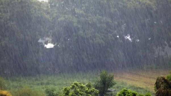 Despite recent floods and heavy rains in India damaging crops