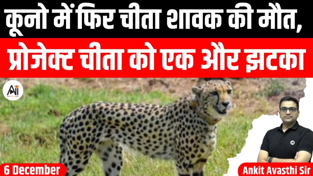 कूनो में फिर चीता शावक की मौत, प्रोजेक्ट चीता को एक और झटका