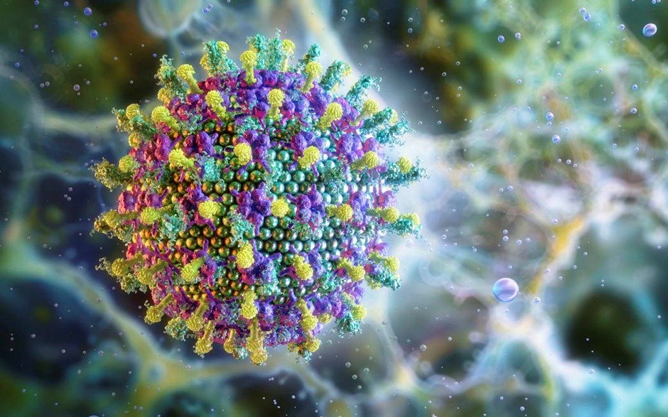nipah virus